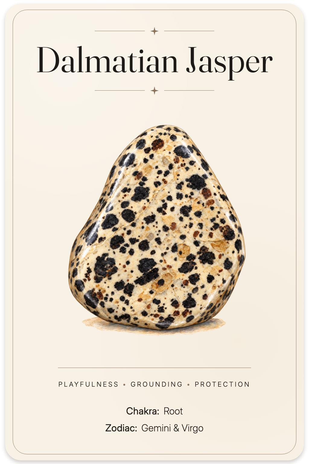 Dalmatian Jasper illustrated card