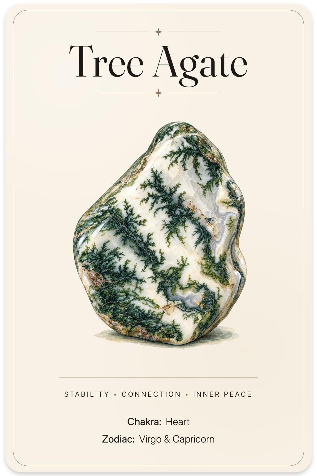 Tree Agate illustrated card